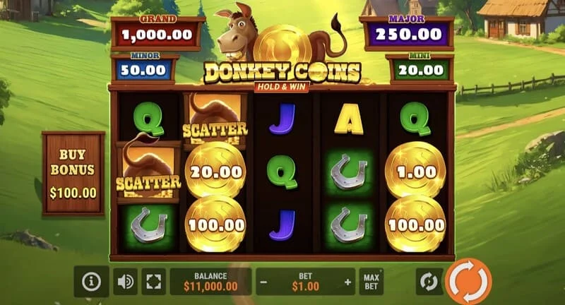 Donkey Coins Hold & Win - het hoofdscherm met rollen