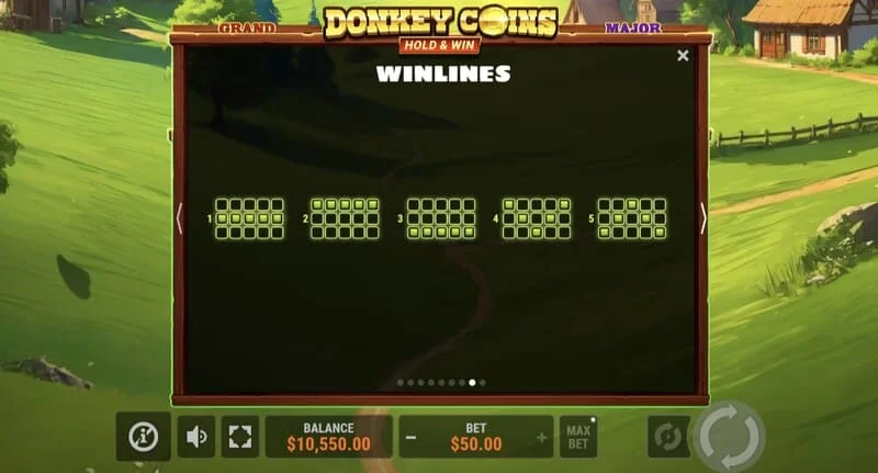 Donkey Coins Hold & Win - grote overwinning in de speciale modus